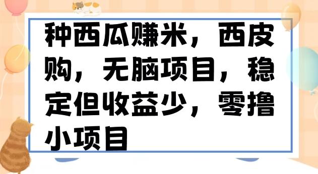 种西瓜赚米，西皮购稳定长久零撸小项目-星火轻创