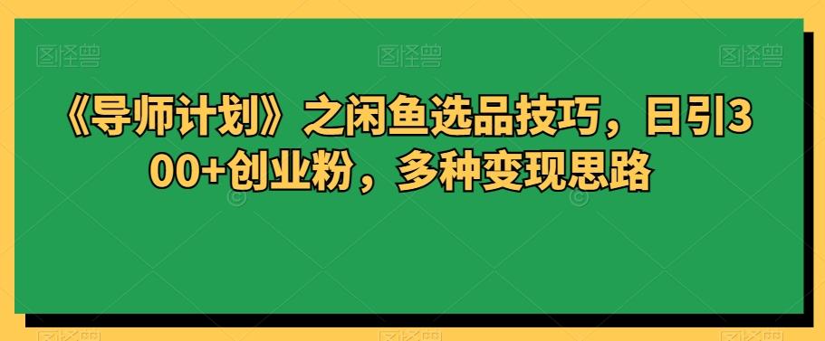 《导师计划》之闲鱼选品技巧，日引300+创业粉，多种变现思路-星火轻创