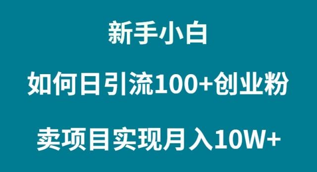 (9556期)新手小白如何通过卖项目实现月入10W+-星火轻创