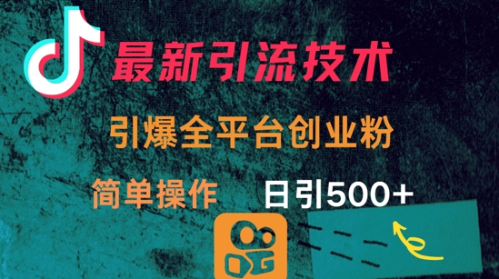 最新引流方法，引爆全平台的一个创业粉，简单操作日引300+-星火轻创