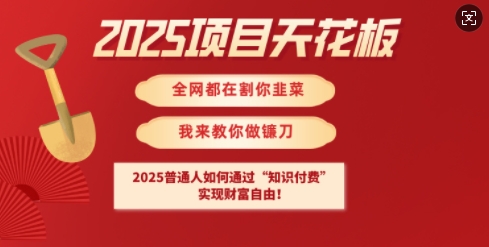 2025项目天花板普通人如何通过知识付费，实现财F自由【揭秘】-星火轻创