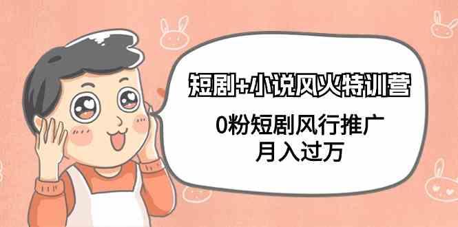 小说+短剧风火特训营，0粉短剧小说风行推广，实现月入过万-星火轻创